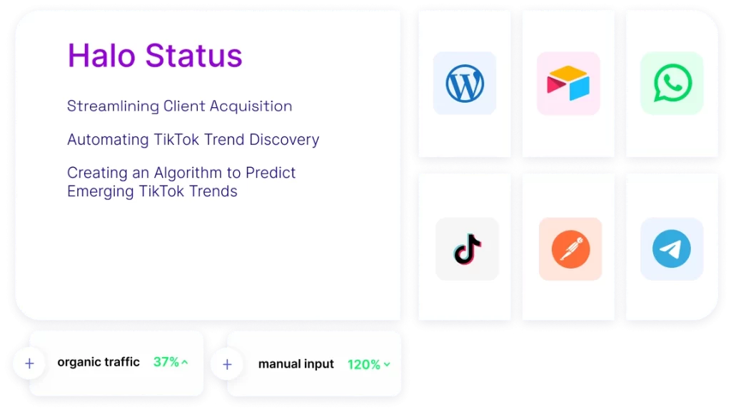 Halo Status case study illustration